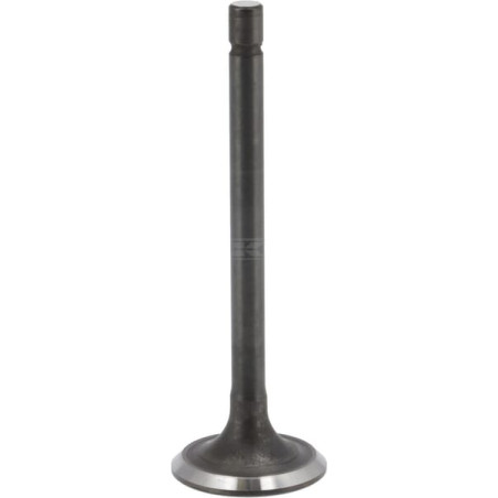 Soupape d'échappement BRIGGS & STRATTON 843752