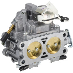 Carburateur BRIGGS & STRATTON 845329