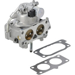Carburateur BRIGGS & STRATTON 845276