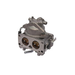 Carburateur BRIGGS & STRATTON 844373