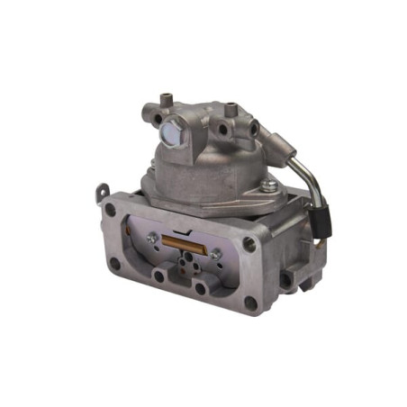 Carburateur BRIGGS & STRATTON 844373