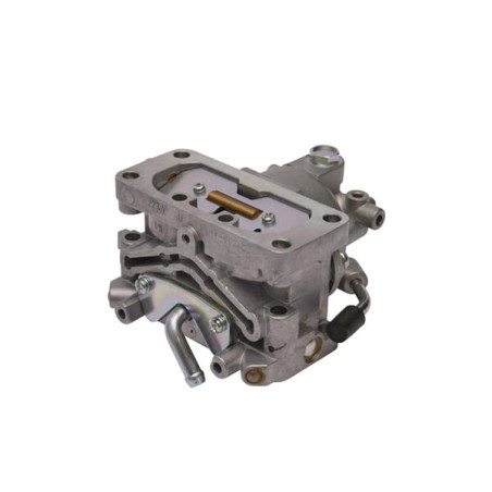 Carburateur BRIGGS & STRATTON 844373