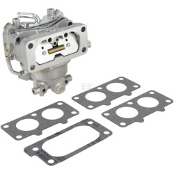 Carburateur BRIGGS & STRATTON 844372