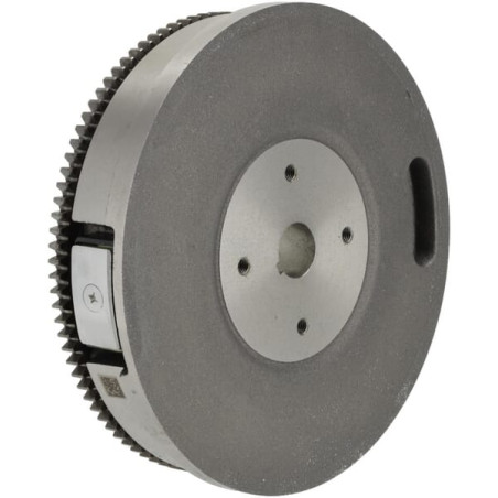 Volant BRIGGS & STRATTON 845489