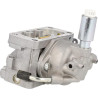 Carburateur BRIGGS & STRATTON 845280