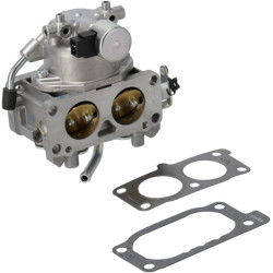 Carburateur BRIGGS & STRATTON 845274