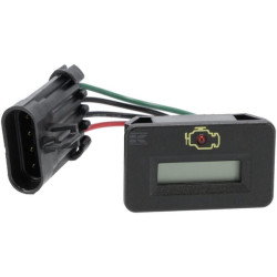 Indicateur BRIGGS & STRATTON 847016