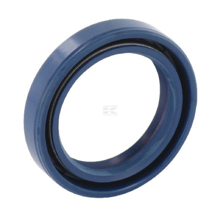 Joint d'huile BRIGGS & STRATTON 845659