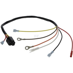 Faisceau de câble BRIGGS & STRATTON 846767