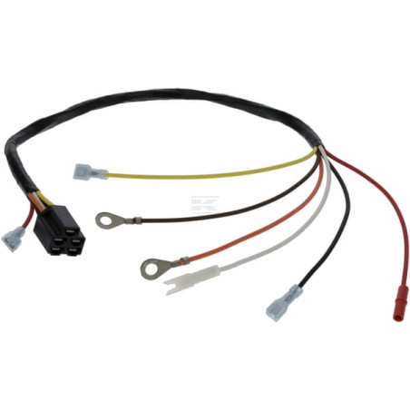 Faisceau de câble BRIGGS & STRATTON 846767