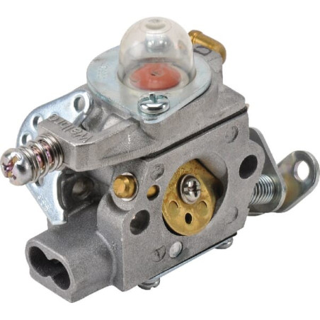 Carburateur CASTELGARDEN 1230540032 - 123054003/2