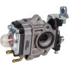 Carburateur CASTELGARDEN 1230540330 - 123054033/0