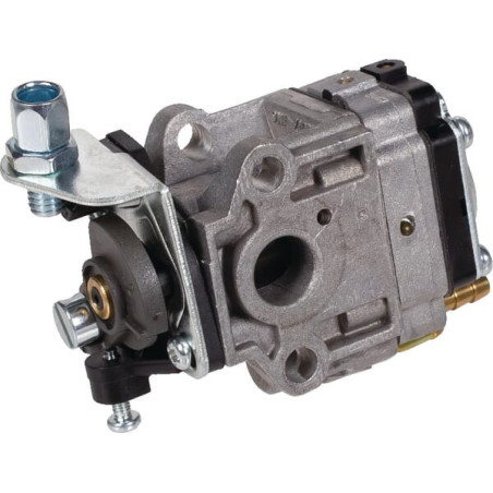 Carburateur CASTELGARDEN 1230540330 - 123054033/0
