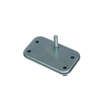 Protection de carburateur BRIGGS & STRATTON 846006