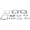 Kit d'étanchéité BRIGGS & STRATTON 846672