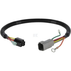 Faisceau de câble BRIGGS & STRATTON 846776