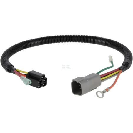 Faisceau de câble BRIGGS & STRATTON 846776
