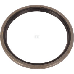 Bague CNH 87061147