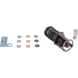 Kit CNH 87384898