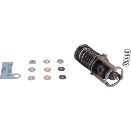 Kit CNH 87384898