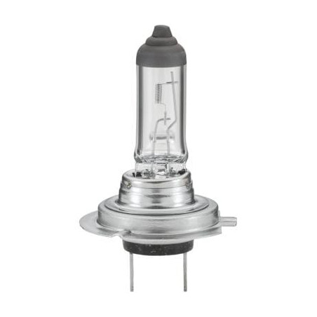 Ampoule HELLA 8GH007157121