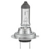 Ampoule HELLA 8GH007157121