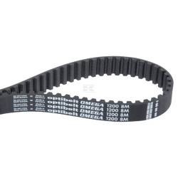 Courroie OPTIBELT 8M240020
