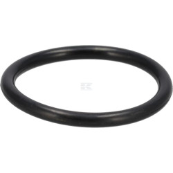 Bague CASE IH 9672549