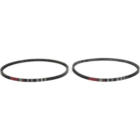 Kit de courroie GIANNI FERRARI 95599520000