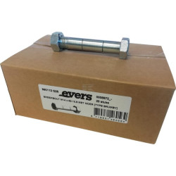 Boulon EVERS 990112Q25