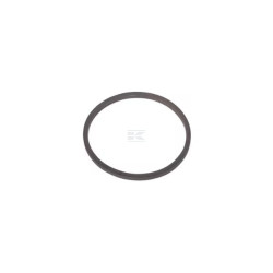 Bague en caoutchouc FPT 98429617FPT