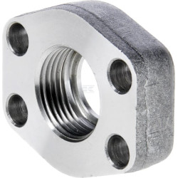 Raccord vissé OLEO TECNICA AFC316G16