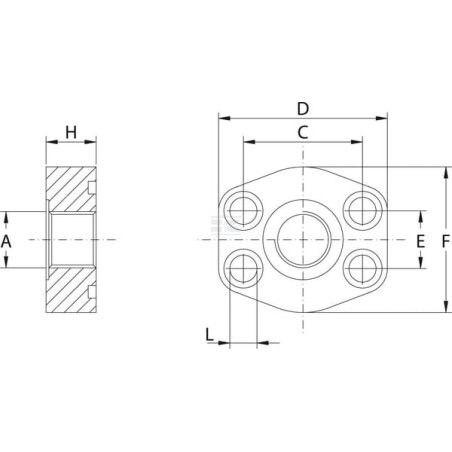 Raccord vissé OLEO TECNICA AFC316G16