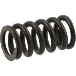 Ressort AGRIA AGW04934