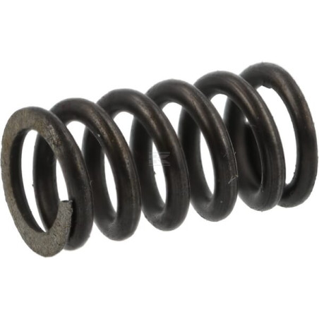 Ressort AGRIA AGW04934