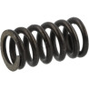 Ressort AGRIA AGW04934
