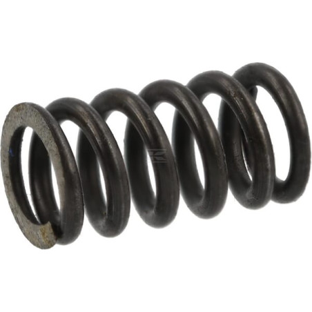 Ressort AGRIA AGW04934