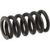 Ressort AGRIA AGW04934
