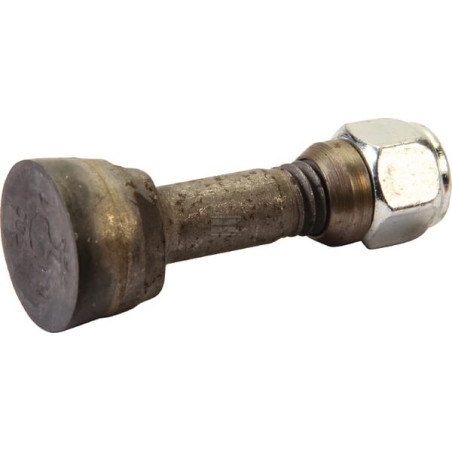 Dent de fraisage AGRIA AGW467098