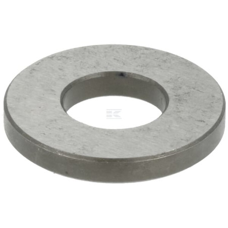 Disque AGRIA AGW454106