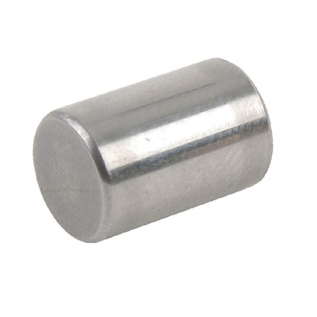 Rouleau cylindrique AGRIA AGW50853