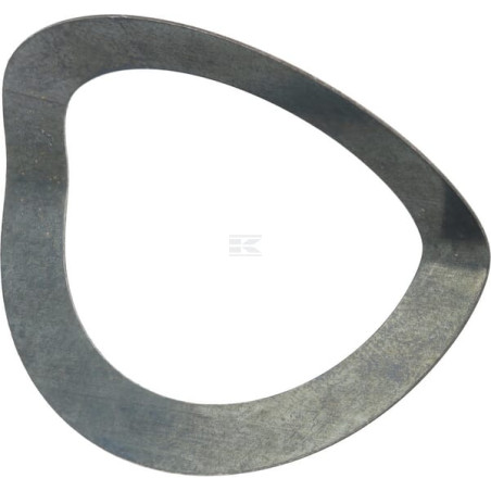 Rondelle AGRIA AGW07986