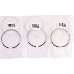 Segments LANDINI A77401