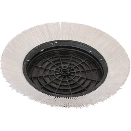 Brosse métallique AGRIA AGW78991