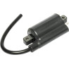 Bobine d'allumage JOHN DEERE AM120732