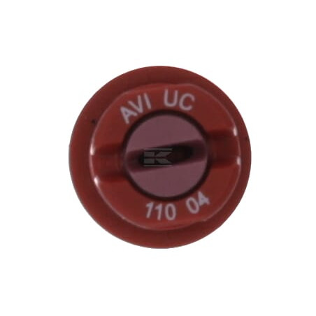 Buse ALBUZ AVIUC11004