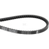 Courroie OPTIBELT AVX131385