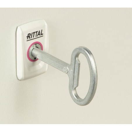 Coffret RITTAL AX1054000