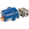 Vanne DURAVIS BLV025SSACT24VACDC
