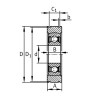 Palier complet INA/FAG BE50
